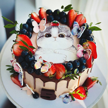 Торт "Котенок" купить - прокопьевск.сладкоежкин.рф